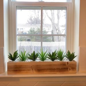 Beautiful succulent decor